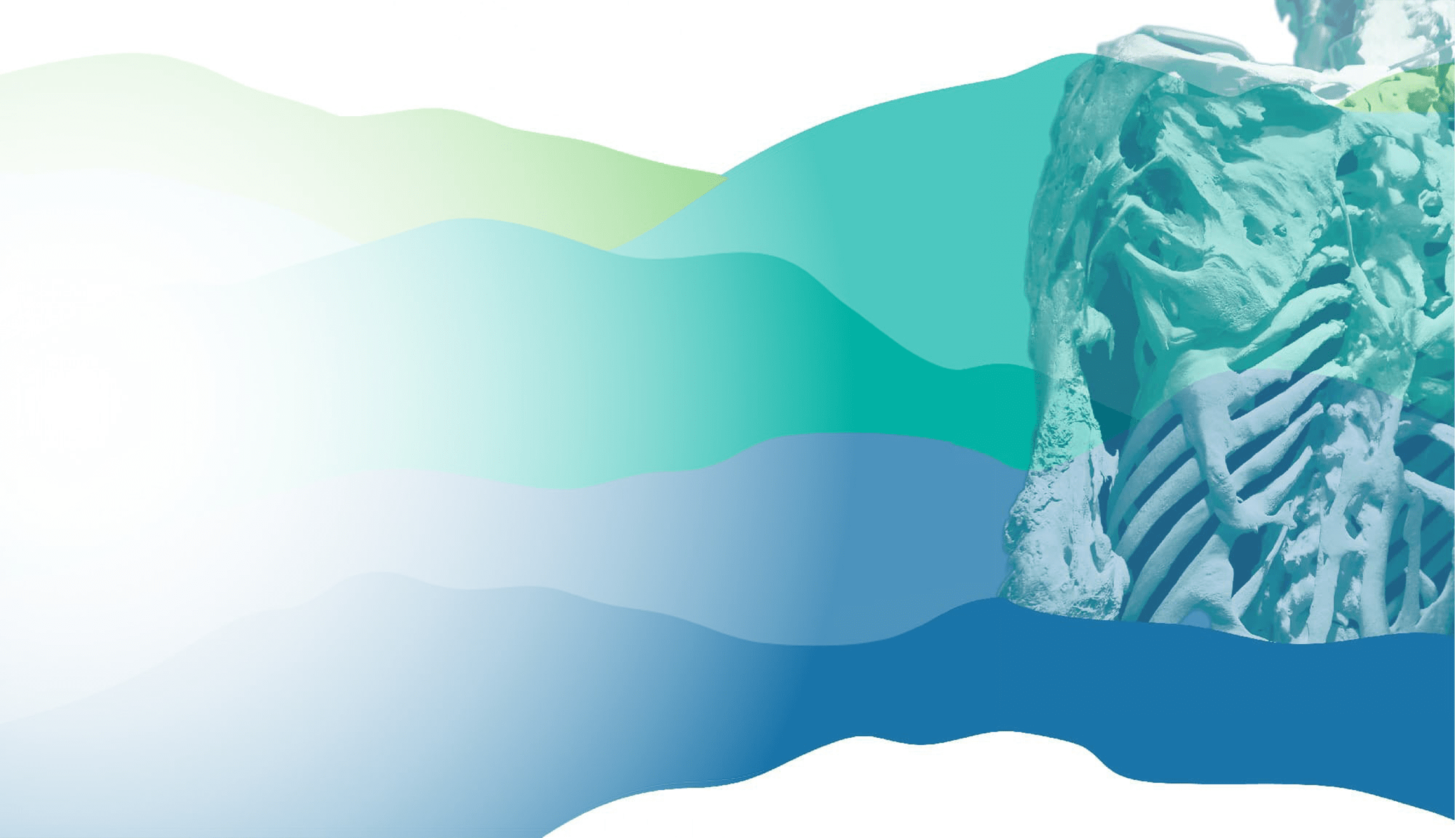 FOP | Homepage